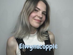 Elwynacopple