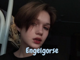 Engelgorse