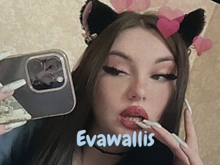 Evawallis