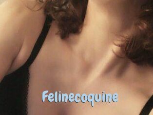 Felinecoquine