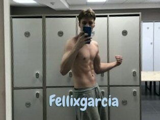 Fellixgarcia