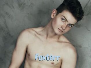 Foxterr