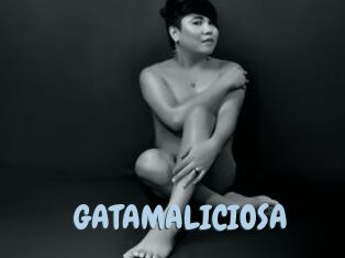 GATAMALICIOSA