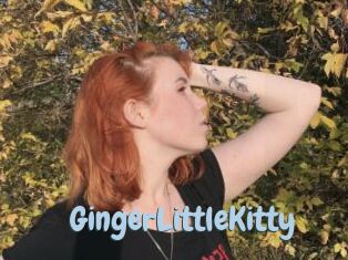 GingerLittleKitty