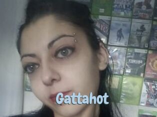 Gattahot