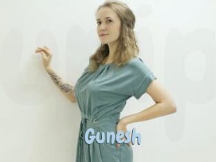 Gunesh
