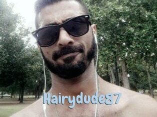 Hairydude87