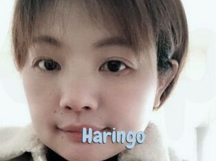 Haringo