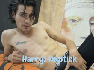 Harrys_bigstick