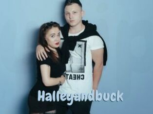 Halleyandbuck