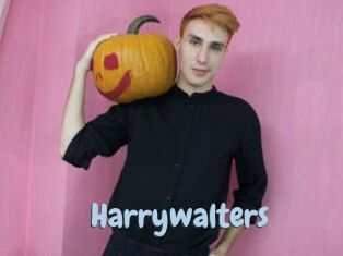 Harrywalters