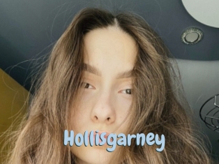 Hollisgarney