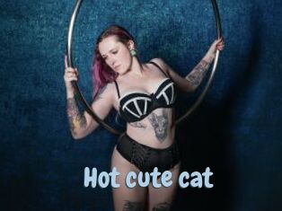 Hot_cute_cat