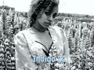 Indigo_22
