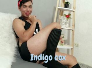 Indigo_cox