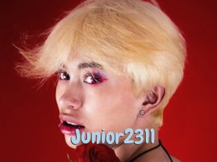 Junior2311