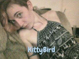 KittyBird