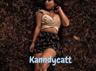 Kanndycatt