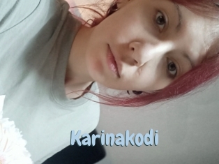 Karinakodi