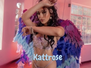 Kattrose