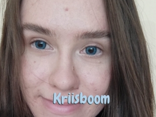 Kriisboom