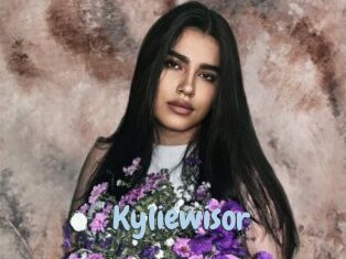 Kyliewisor