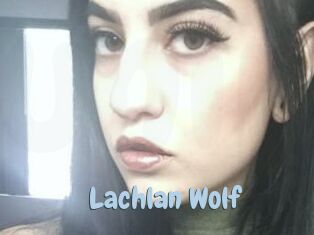 Lachlan_Wolf