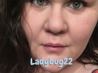 Ladybug22
