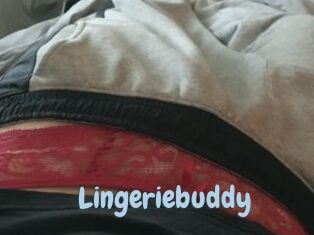 Lingeriebuddy