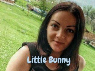 Little_Bunny_
