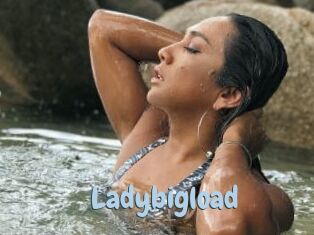 Ladybigload