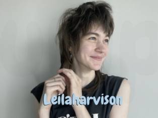 Leilaharvison
