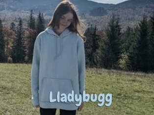 Lladybugg