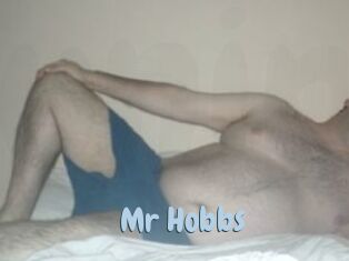 Mr_Hobbs
