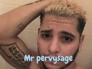 Mr_pervysage