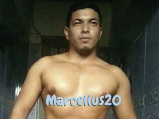 Marcellus20