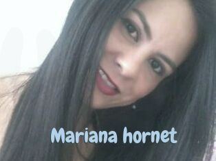 Mariana_hornet