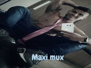 Maxi_mux