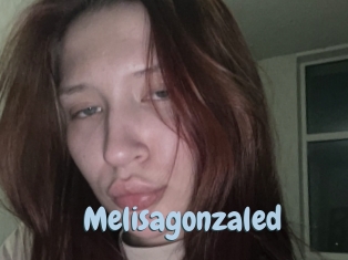 Melisagonzaled