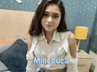 Mini_puca