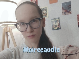 Moirecaudle