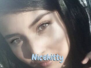 Nicekitty