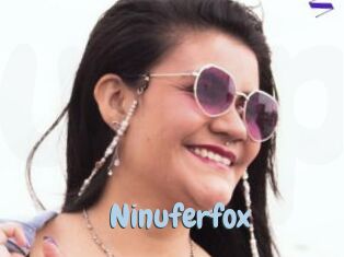 Ninuferfox