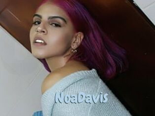 NoaDavis