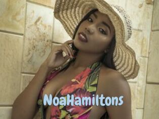 NoaHamiltons