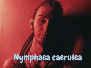 Nymphaea_caerulea Uniform Porn XXX