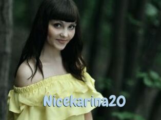 Nicekarina20