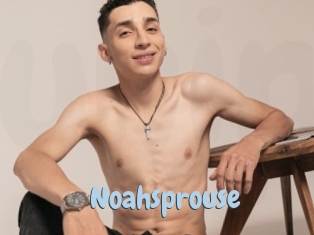 Noahsprouse