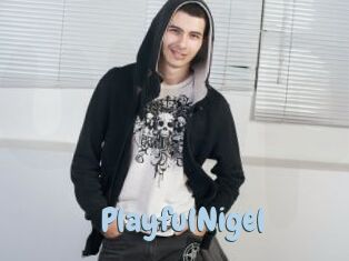 PlayfulNigel