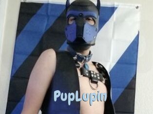 PupLupin Uniform Porn XXX